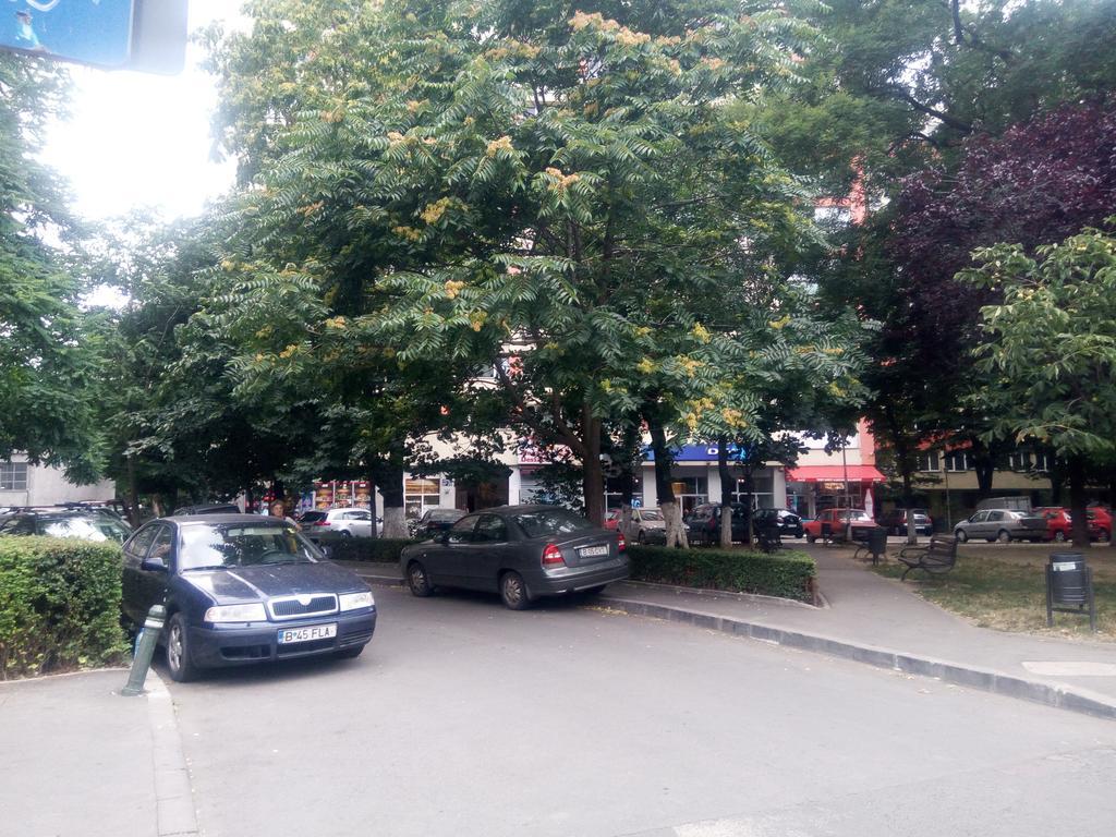 Apartament Dana Бухарест Екстер'єр фото