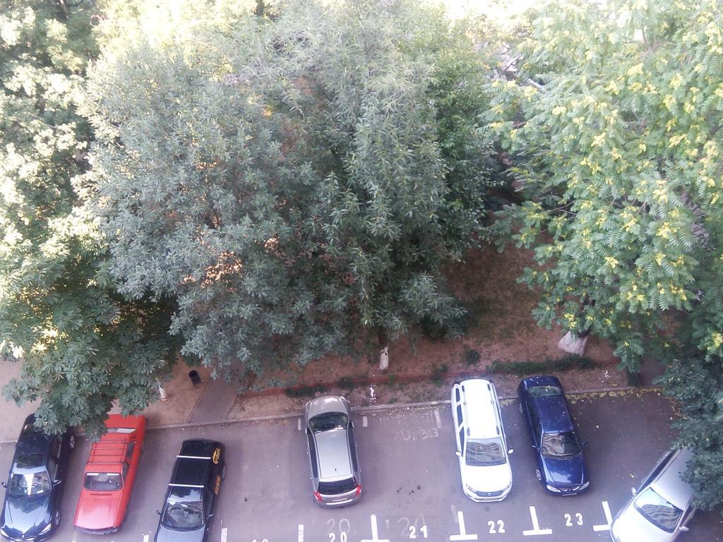 Apartament Dana Бухарест Екстер'єр фото